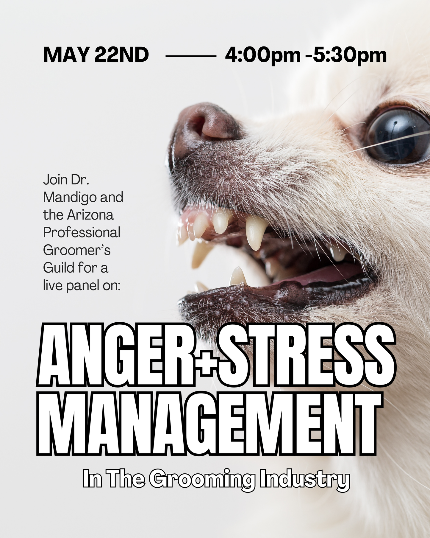 Anger + Stress Management Therapy Panel