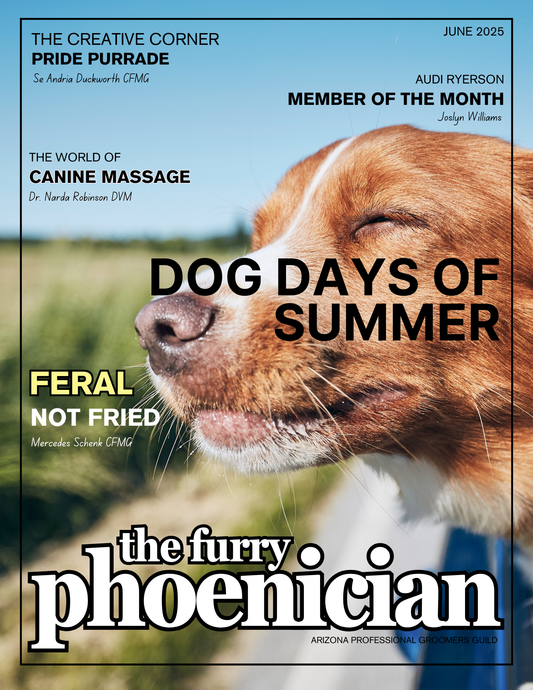 Dog Days Of Summer