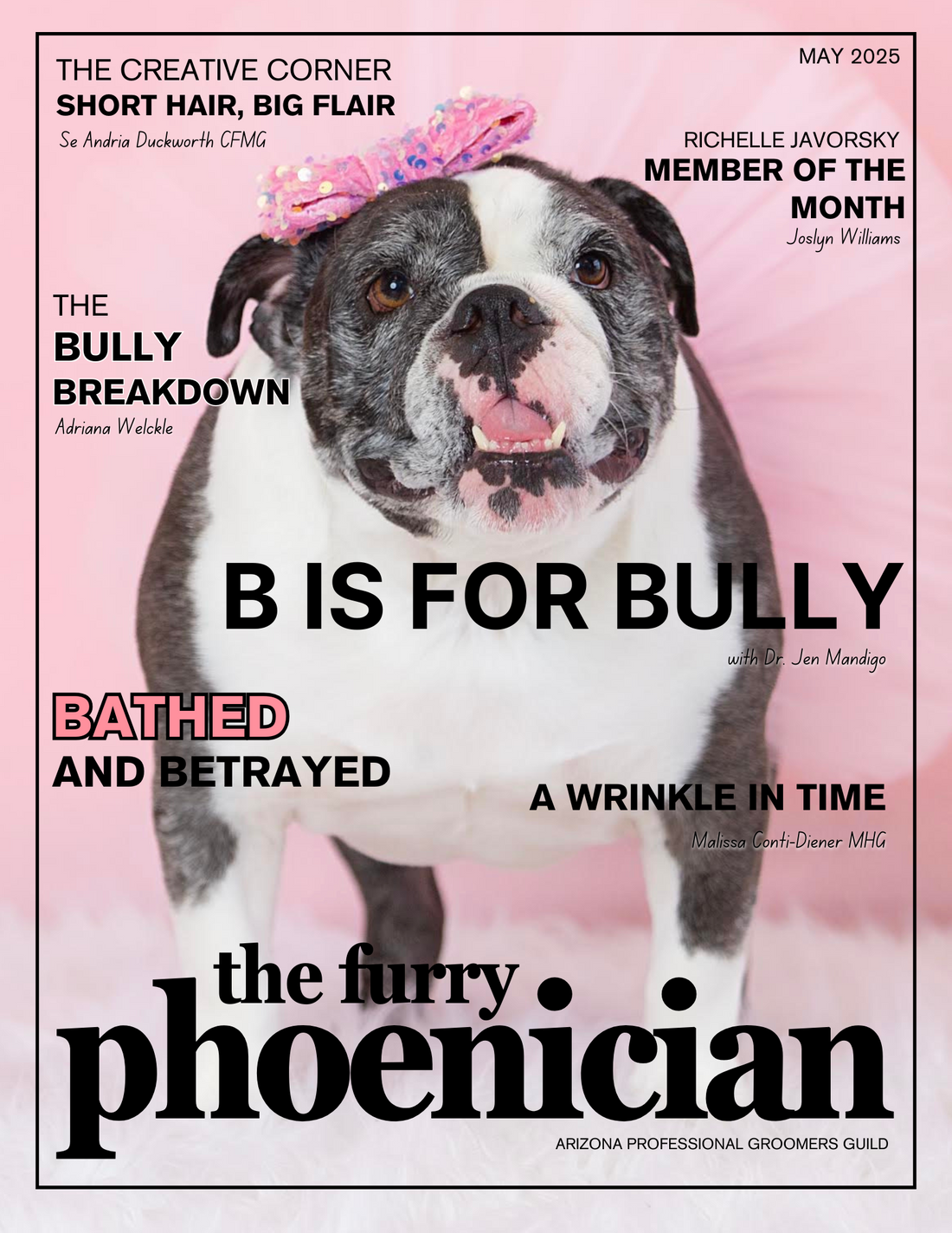 B is for Bully