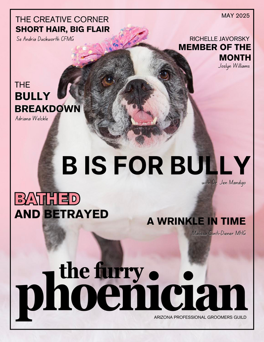 B is for Bully