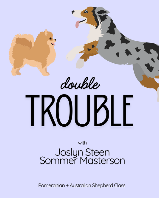 Double Trouble Aussie + Pom Class