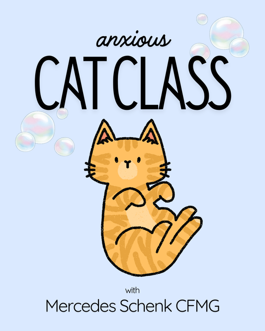 Anxious Cat Class